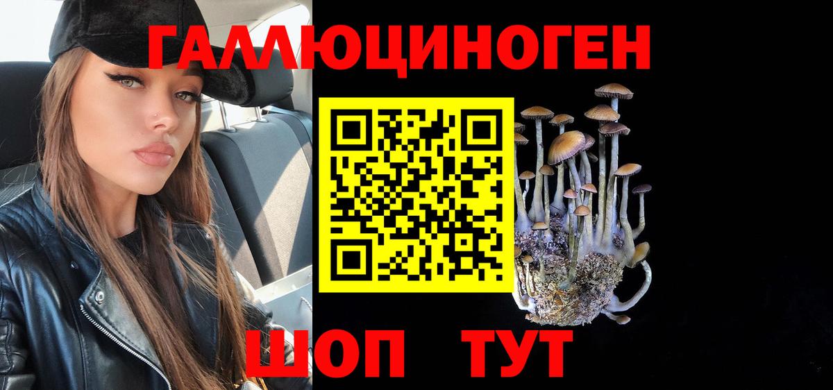 Псилоцибиновые грибы GOLDEN TEACHER Кировск