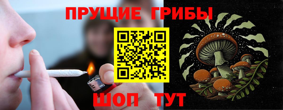 где купить наркоту  Вход с VPN  Кировск  Галлюциногенные грибы MAGIC MUSHROOMS 